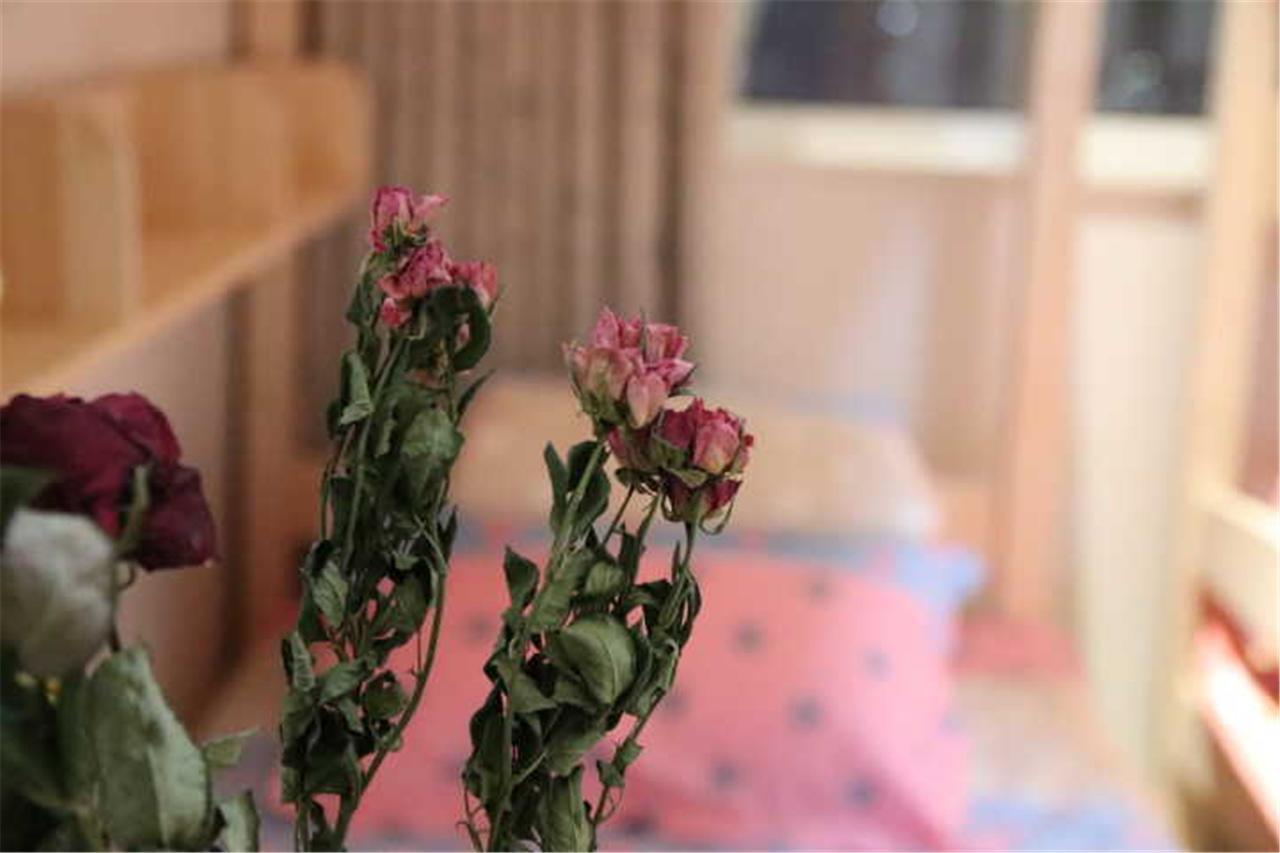 Yantai Music Theme Youth Hostel Eksteriør billede